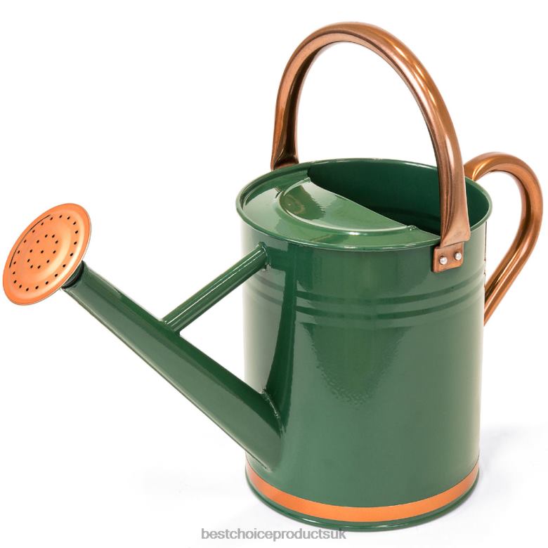 Lawn & Garden | Best Choice Products1-Gallon Galvanized Steel Watering Can w/ O-Ring, Top Handle N62R996 Green