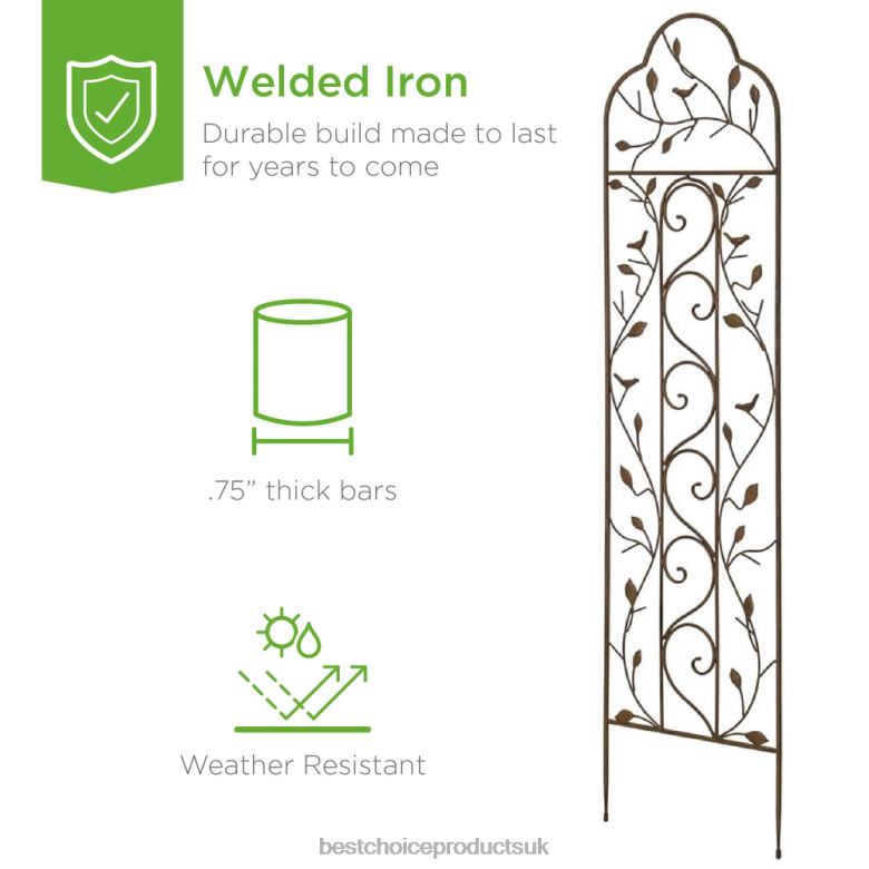 Lawn & Garden | Best Choice ProductsSet of 2 Iron Arched Garden Trellis N62R989 Black