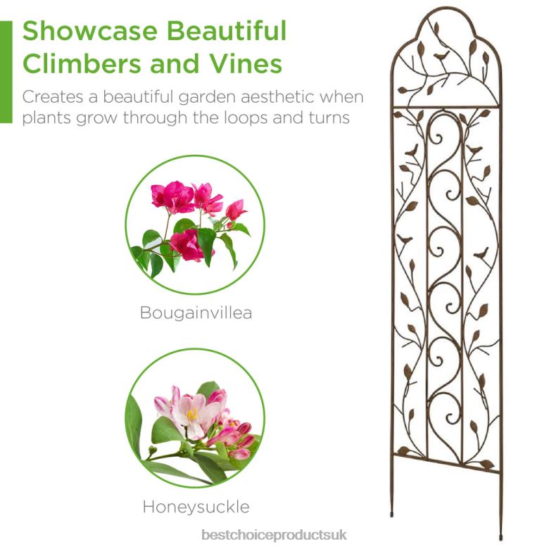 Lawn & Garden | Best Choice ProductsSet of 2 Iron Arched Garden Trellis N62R989 Black