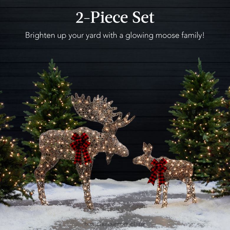 Seasonal Best Choice Products2-Piece Moose Family Lighted Outdoor Christmas Decoration Set w/ 170 Lights N62R108 Brown